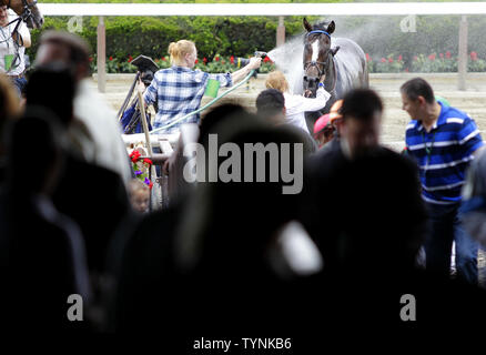 Un cheval concurrent est lavé au jet après une heures avant la 145e exécution de la Belmont Stakes Elmont dans New York le 8 juin 2013. Pour la troisième année consécutive, la course va être exécuté sans la Triple couronne étant en jeu en tant que gagnant du derby du Kentucky 2013 Orb a été défait dans le Preakness 2013 par Oxbow. UPI/John Angelillo Banque D'Images