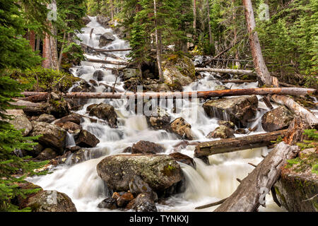 La fonte des neiges au printemps inondations dans les Cascades Calypso bassin sauvage au printemps, Rocky Mountain National Park, Colorado Banque D'Images