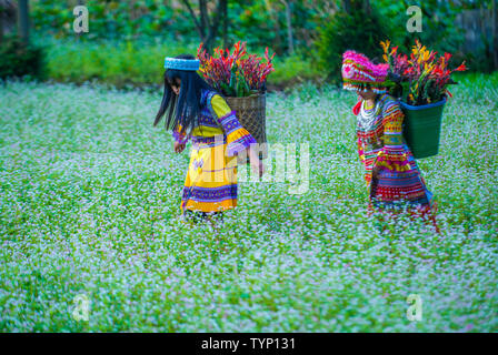 Les jeunes filles de la minorité Hmong dans un village près de Dong Van au Vietnam Banque D'Images