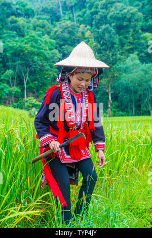 Femme de la minorité Dao rouge dans un village près de Ha Giang au Vietnam Banque D'Images