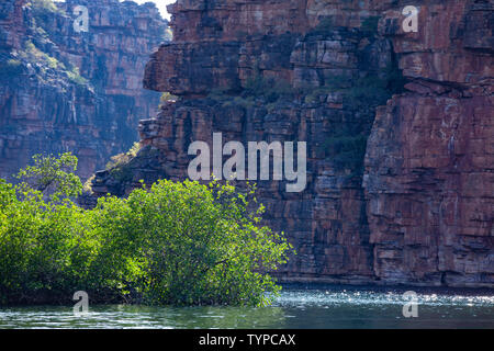 Sommaire du roi George River gorge dans le Kimberleys en Australie de l'Ouest Banque D'Images