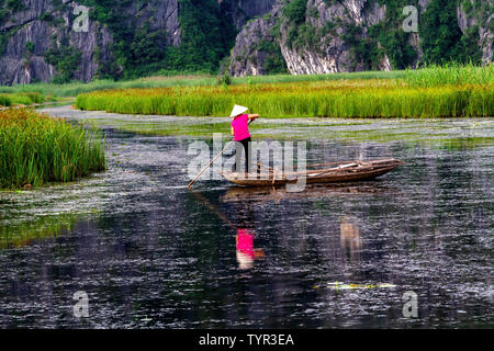 Aviron bateaux en bois (femme) sampans dans Trang An, un delta de fleuve près de la ville de Ninh Binh. Ninh Binh, Vietnam. Trang An était s'engage comme une Banque D'Images