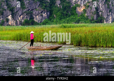 Aviron bateaux en bois (femme) sampans dans Trang An, un delta de fleuve près de la ville de Ninh Binh. Ninh Binh, Vietnam. Trang An était s'engage comme une Banque D'Images