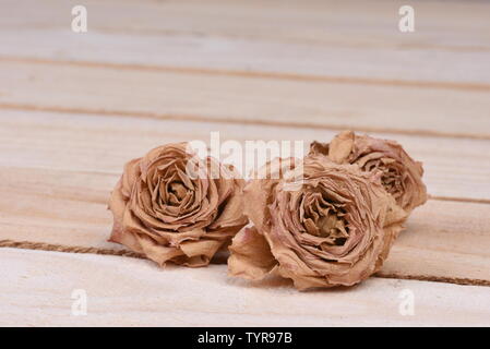 Des boutons de fleurs de rose séchée et de pétales sur fond de bois with copy space Banque D'Images