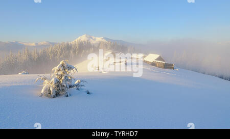 Ferme abandonnée sur les hauts plateaux alpins avec snow peak sur l'arrière-plan. La nature sauvage du paysage d'hiver dans les montagnes des Carpates Banque D'Images