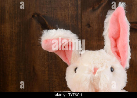 Lapin de Pâques en peluche gros plan avec l'oreille de disquette Banque D'Images