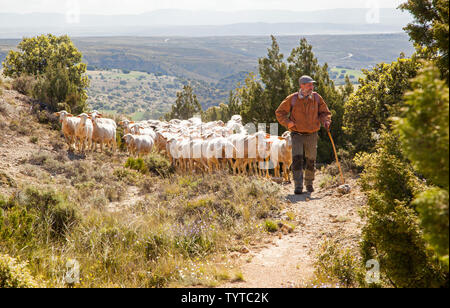 Shepard espagnol menant son troupeau de moutons sur les collines dans la région de Montes Universales près de Albarracin dans la région de l''Aragon Espagne Banque D'Images