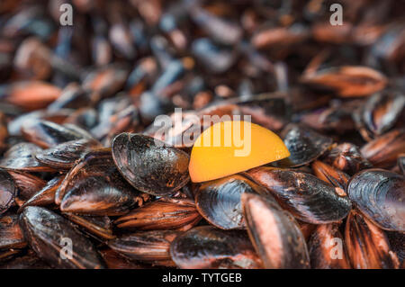 Moules farcies délicieuse (midye dolma) contexte, la texture. Focus sélectif. Banque D'Images