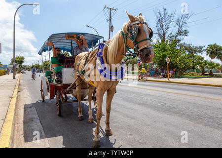 Varadero, Cuba - 8 mai 2019 : Horse transport en taxi dans la rue pendant une journée ensoleillée. Banque D'Images