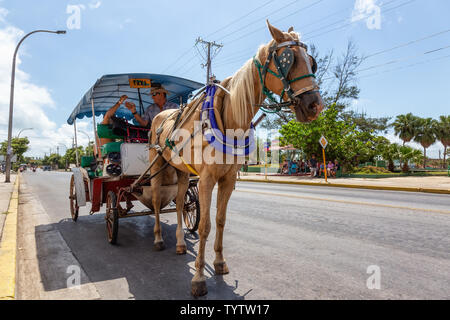 Varadero, Cuba - 8 mai 2019 : Horse transport en taxi dans la rue pendant une journée ensoleillée. Banque D'Images