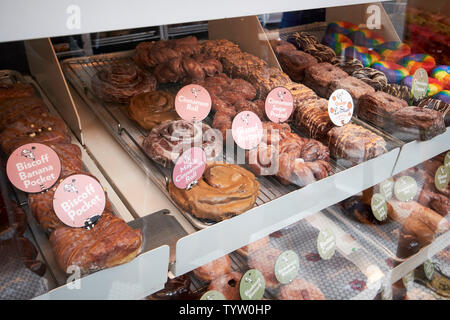 Sélection de donuts sur l'affichage à stans donuts et café café restaurant à damen in wicker park Chicago IL États-unis Banque D'Images