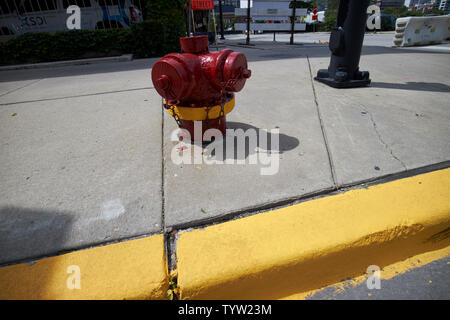 Bordure jaune indiquant aucun stationnement à côté d'un poteau incendie au centre-ville de Chicago IL États-unis Banque D'Images