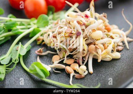 Salade de graines germées de lentilles pois lin et d'autres céréales. Concept de l'alimentation macrobiotique. close up. Banque D'Images