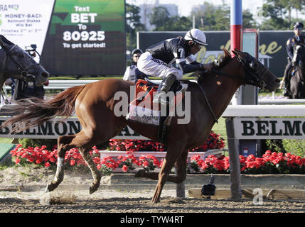 Sir Winston et jockey Joel Rosario franchir la ligne d'arrivée pour gagner la 151e exécution de la Belmont Stakes à Belmont Park à Elmont New York le 8 juin 2019. Photo de John Angelillo/UPI Banque D'Images