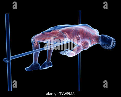 Médicalement en rendu 3d illustration précise des muscles d'un sauteur en hauteur Banque D'Images