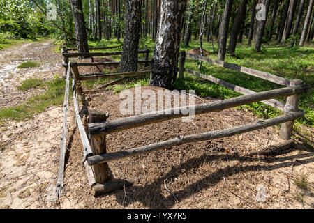 Fourmilière dans les forêts de conifères. Ancienne fourmilière avec une clôture en bois. Saison de l'été. Banque D'Images