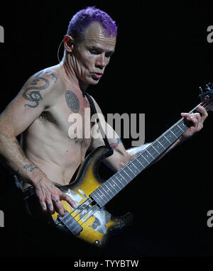 Brocante, dont le vrai nom est Michael Peter Balzary, joue de la guitare basse tout en jouant avec les Red Hot Chili Peppers en concert à Bercy à Paris le 18 octobre 2011. UPI/David Silpa Banque D'Images