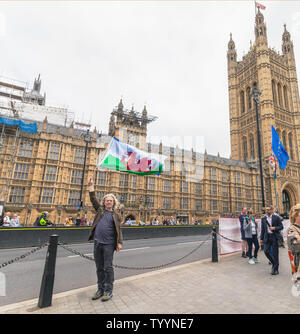 London / UK - 26 juin 2019 - Pro-UE manifestant porte drapeaux de l'Union européenne et le Pays de Galles à l'extérieur du Parlement à Westminster Banque D'Images