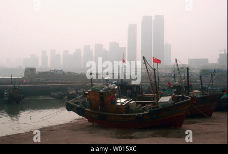 Les bateaux de pêche chinois pour attendre la prochaine marée haute à partir de la mer Jaune dans un vieux petit port dans la ville côtière Qingdao, une ville importante dans l'est de la province du Shandong, le 17 août 2014. Qingdao est un important port, base navale et centre industriel. La mer la plus longue du monde, le pont Jiaozhou Bay Bridge, liens la principale zone urbaine à Huangdao. UPI/Stephen Shaver Banque D'Images