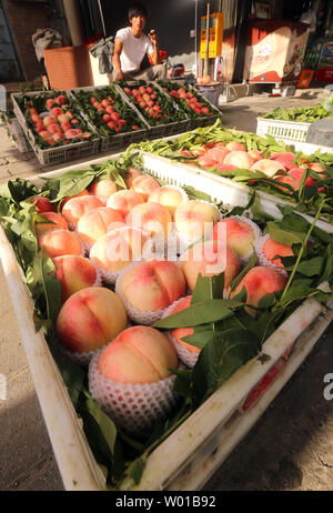 Un vendeur vend chinois pêches fraîches sur le trottoir du centre de Pékin le 17 juillet 2016. La Chine est le premier producteur mondial de fruits, et est aussi le premier producteur de pêches. En fonction de l'alimentation et l'agriculture, la production de pêches en Chine représente environ 50 pour cent de la production mondiale. Photo par Stephen Shaver/UPI Banque D'Images