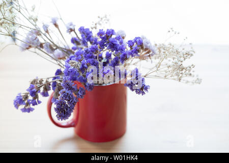 N'oubliez pas moi et les étoiles, fleurs sèches, sous la fenêtre. Banque D'Images