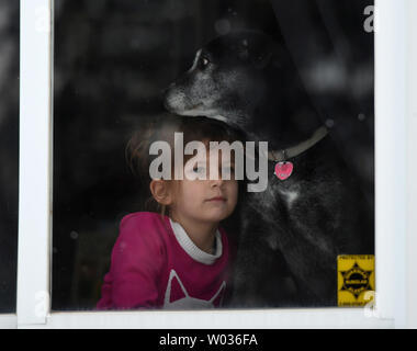 Lucy Norman, âgé de 6 ans, avec son chien Rory, montres comme bénévoles fournissent des cas d'eau embouteillée dans son quartier à Flint, Michigan, le 5 mars 2016. Les résidents de silex continuent d'utiliser de l'eau en bouteille après l'eau potable était contaminé par le plomb après la source d'eau a été changé de l'eau et d'assainissement de Detroit Dept. au Flint River en avril 2014. Photo par Molly Riley/UPI Banque D'Images