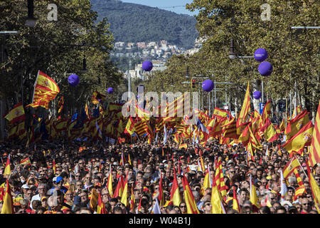 Vague de manifestants drapeaux espagnols lors d'une manifestation pro-unité à Barcelone le 29 octobre 2017. Des manifestants pro-unité étaient de recueillir dans la capitale de la Catalogne Barcelone, deux jours après les législateurs ont voté pour diviser la région riche de l'Espagne, plongeant le pays dans une crise politique sans précédent. photo par Xavi Herrero/ UPI Banque D'Images