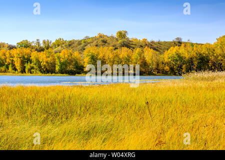 Couleur de l'automne sur le lac du barrage de Taoshan paddock Banque D'Images