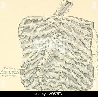 Image d'archive à partir de la page 299 de Die topographische und descriptif pot Banque D'Images