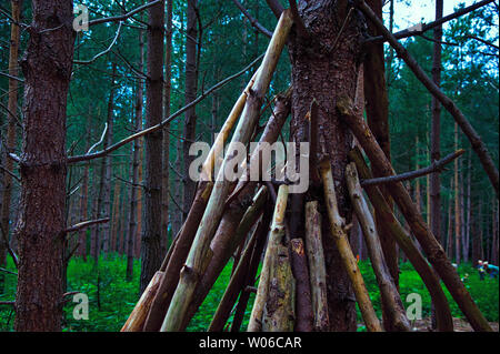 Children's stick den en forêt - les débuts d'une den fait en plaçant de grandes branches d'arbres contre un arbre. Banque D'Images