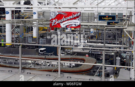 Belgian-Brazilian brewer InBev a acheté Saint Louis fonde Anheuser-Busch dans un $52 milliards de la création du plus grand brasseur du monde à St Louis le 14 juillet 2008. La prise d'InBev a débuté en mai et a conclu le 13 juillet 2008, après le conseil d'administration d'Anheuser-Busch ont convenu d'un $70 par action en espèces. La nouvelle société aura un chiffre d'affaires net de 36 milliards de dollars par année, offrant aux consommateurs à propos de 300 marques. Chef de la direction d'InBev Carlos Brito, 48 ans, est connu pour réduire les coûts, et dirigera la nouvelle société, appelée Anheuser-Busch InBev. Sur la photo, la bouteille à la ligne de tête mondial Anheuser-Busch Banque D'Images