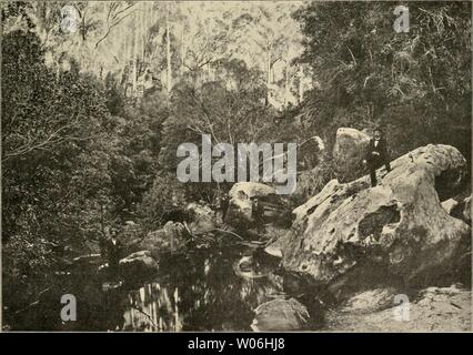 Image d'archive à partir de la page 428 de Die Gartenwelt (1897). Die Gartenwelt diegartenwelt04berl Année : 1897 Illustriertes Wochenblatt für den gesamten Gartenbau. Complément IV. 26. Mai igoo. N° 34. Nachdruck und Nachbildung aus dem Inhalt dieser Zeitschrift 'strafrechtlich verfolgt wird. Gärten des Auslandes. Nationalpark der bei Sydney. Von Dr. med. Schnee, Kaiserl. Regierungsaizt Marschall-Inseln, Jaluit, Amérique, en mal. zwischen gelegentlich eine kleine Casuarine Akazie oder steht. Erst am Flufsufer entfalten sich die Reize der einheimischen Flore, l'indem dort auch Palmen und baum- artige Fa Banque D'Images