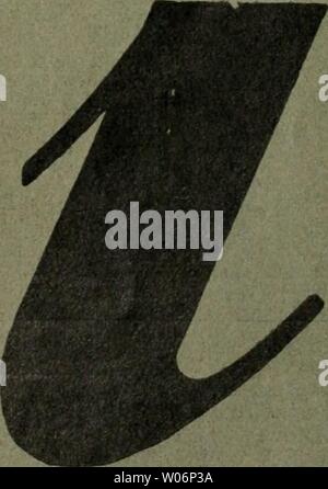 Image d'archive à partir de la page 448 de Die Gartenkunst (1899). Die Gartenkunst diegartenkunst15deut Année : 1899 Koniferen Omori'KoFj iliustTierfe verlange homme Rhododendron ehren Preisliste Q G.D.Böblje Baumschulen 'es|-ersl'ede''t)Homme idbg bittet bei Bestellungen sidi auf die Gartenkunst" zu beziehen. ensfein poursuite&&l/og/er/f-6 ohne den Punkt können Sie diesen Buchstaben nicht lesen ; genau so unverständlich sind Ihre Inserate, wenn Sie sich nicht fachmännische Reklame-Kenntnisse kostenlos da- durch sichern, dass sie die Ver- öffentlichung Haasensteln Ihrer Anzeigen & Vogler, A. O., un Fraokfort.M., Banque D'Images