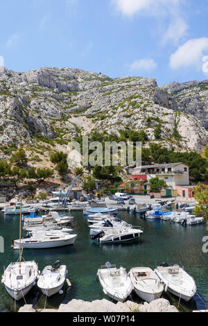 Photo Vintage Les Calanques - Ane à La Calanque De Morgiou - Tirage Original 1955