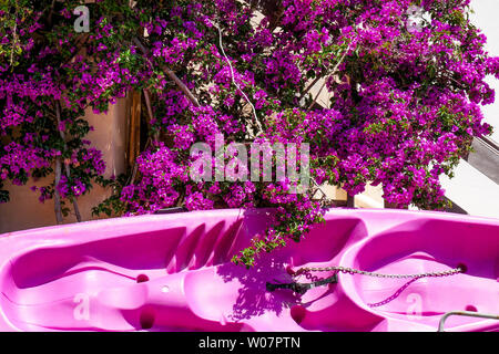 Composition en violet, Morgiou calanque, Calanques de Marseille, Bouches-du-Rhône, France Banque D'Images