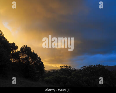 Pluie tombant au coucher du soleil créant un magnifique effet de nuage de ligne verticale de bleu et d'or Banque D'Images