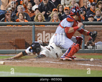 Giants de San Francisco Juan Perez (R) en sixième manche comme St. Louis Cardinals catcher Tony Cruz à deux pas de l'elastique de 1B Matt Adams dans le jeu 4 de la série de championnat de la Ligue nationale à AT&T Park à San Francisco le 15 octobre 2014. Les géants vaincus les cardinaux 6-4 et laisse le meilleur de la série 7 3-1. UPI/Terry Schmitt Banque D'Images