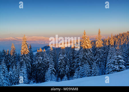 Premier rayons de soleil dans l'hiver les montagnes enneigées Banque D'Images