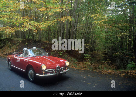 Vintage car, Alfa Romeo giulietta SPIDER VELOCE Banque D'Images