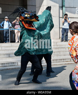 Lion dancers d'Onagawa, Miyagi-Prefecture Shishikofuri effectuer pendant un événement de style pour 'Tokyo Shishimai collection 2020" au Musée National de Tokyo à Tokyo, Japon le 11 mai 2019. Photo par Keizo Mori/UPI Banque D'Images