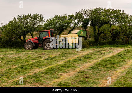 Ballydehob, West Cork, Irlande. 27 juin 2019. Michael Pat Ward, agriculteur de Durrus, navigue de l'herbe pour l'ensilage. Les balles seront utilisées comme alimentation d'hiver pour le bétail. Crédit : AG News/Alay Live News. Banque D'Images