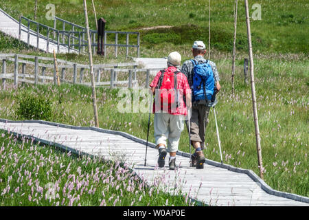 Deux randonneurs seniors, un sentier en bois passant par une tourbière, près de Bozi Dar, Monts Ore, randonnée en République tchèque, chemin en bois Europe Banque D'Images