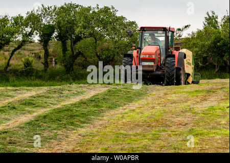 Ballydehob, West Cork, Irlande. 27 Juin, 2019. Fermiers de Durrus Michael Pat Ward bails herbe pour l'ensilage. Les balles sont utilisées comme fourrage d'hiver pour le bétail. Credit : Andy Gibson/Alamy Live News. Banque D'Images