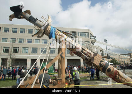 Les 17 mètres de hauteur de la réconciliation totem sculpté par James Hart (7idansuu), maître sculpteur haïda chef héréditaire et attend d'être installée au cours d'une cérémonie sur le principal centre commercial de l'Université de la Colombie-Britannique (UBC) à Vancouver, en Colombie-Britannique (C.-B.) le 1er avril 2017. Le totem représente les survivants des pensionnats. UPI/Heinz Ruckemann Banque D'Images