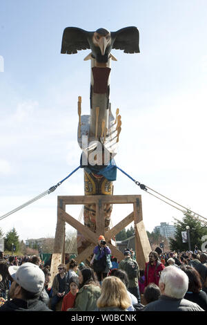 Les 17 mètres de hauteur de la réconciliation totem sculpté par James Hart (7idansuu), maître sculpteur haïda chef héréditaire et attend d'être installée au cours d'une cérémonie sur le principal centre commercial de l'Université de la Colombie-Britannique (UBC) à Vancouver, en Colombie-Britannique (C.-B.) le 1er avril 2017. Le totem représente les survivants des pensionnats. UPI/Heinz Ruckemann Banque D'Images