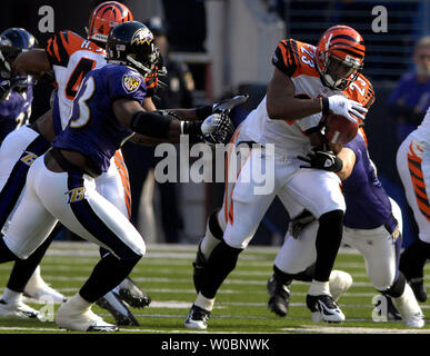 L'active dans les années 1960 Chris Perry (23) fumbles l'ouverture au premier trimestre de lancement lorsqu'il est touché par des Ravens de Baltimore Mike Smith (R) le 5 novembre 2006 dans un match au M&T Bank Stadium à Baltimore, Maryland. (UPI Photo/ Mark Goldman) Banque D'Images
