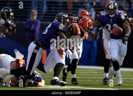 L'active dans les années 1960 Chris Perry (23) fumbles l'ouverture au premier trimestre de lancement lorsqu'il est touché par des Ravens de Baltimore Mike Smith (51) que le Baltimore Ravens' Daniel Wilcox (L) lui apporte vers le bas le 5 novembre 2006 dans un match au M&T Bank Stadium à Baltimore, Maryland. (UPI Photo/ Mark Goldman) Banque D'Images
