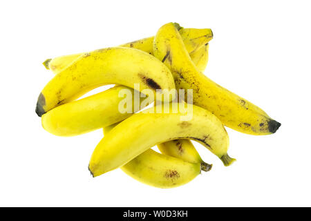 Venu de la banane Gros Michel isolé sur fond blanc, Krua Thong cdm les plantes cultivées en Thaïlande Banque D'Images