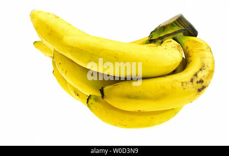 Venu de la banane Gros Michel isolé sur fond blanc, Krua Thong cdm les plantes cultivées en Thaïlande Banque D'Images