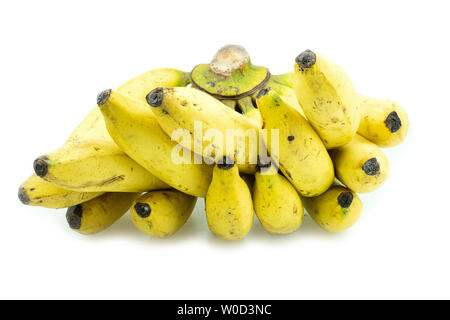 Venu de la banane Gros Michel isolé sur fond blanc, Krua Thong cdm les plantes cultivées en Thaïlande Banque D'Images